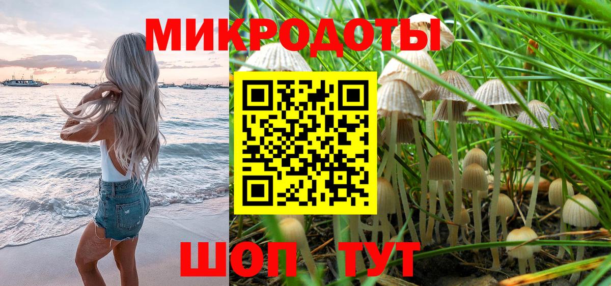 Черняховск  Псилоцибиновые грибы мицелий  сколько стоит  Вход с VPN 