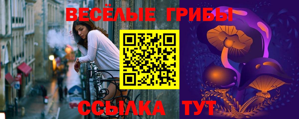 Псилоцибиновые грибы Psilocybine cubensis Черняховск